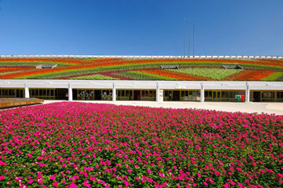 Flower Expo, Taipei City, Taiwan