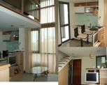apartments and roommates