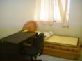 apartments and roommates
