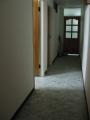 apartments and roommates