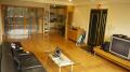 apartments and roommates