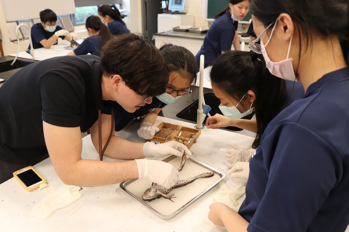 Teaching in Taiwan, ESL, EFL Jobs in TaiwanTaipei Fuhsing Private