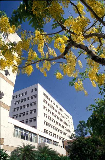 Teaching English and Living in Taiwan, Welcome to Kaohsiung Medical University image