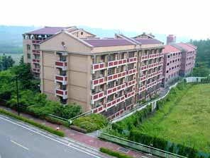 Teaching English and Living in Taiwan, Let the Buddha's light shine and Dharma water flow image