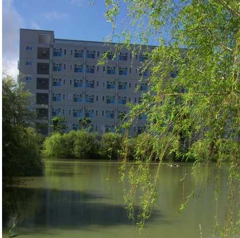 Teaching English and Living in Taiwan, Welcome to study in Leader University image